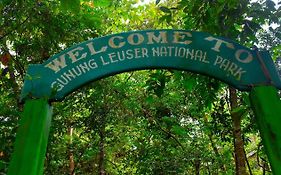 The Hangout@ Ecotravel